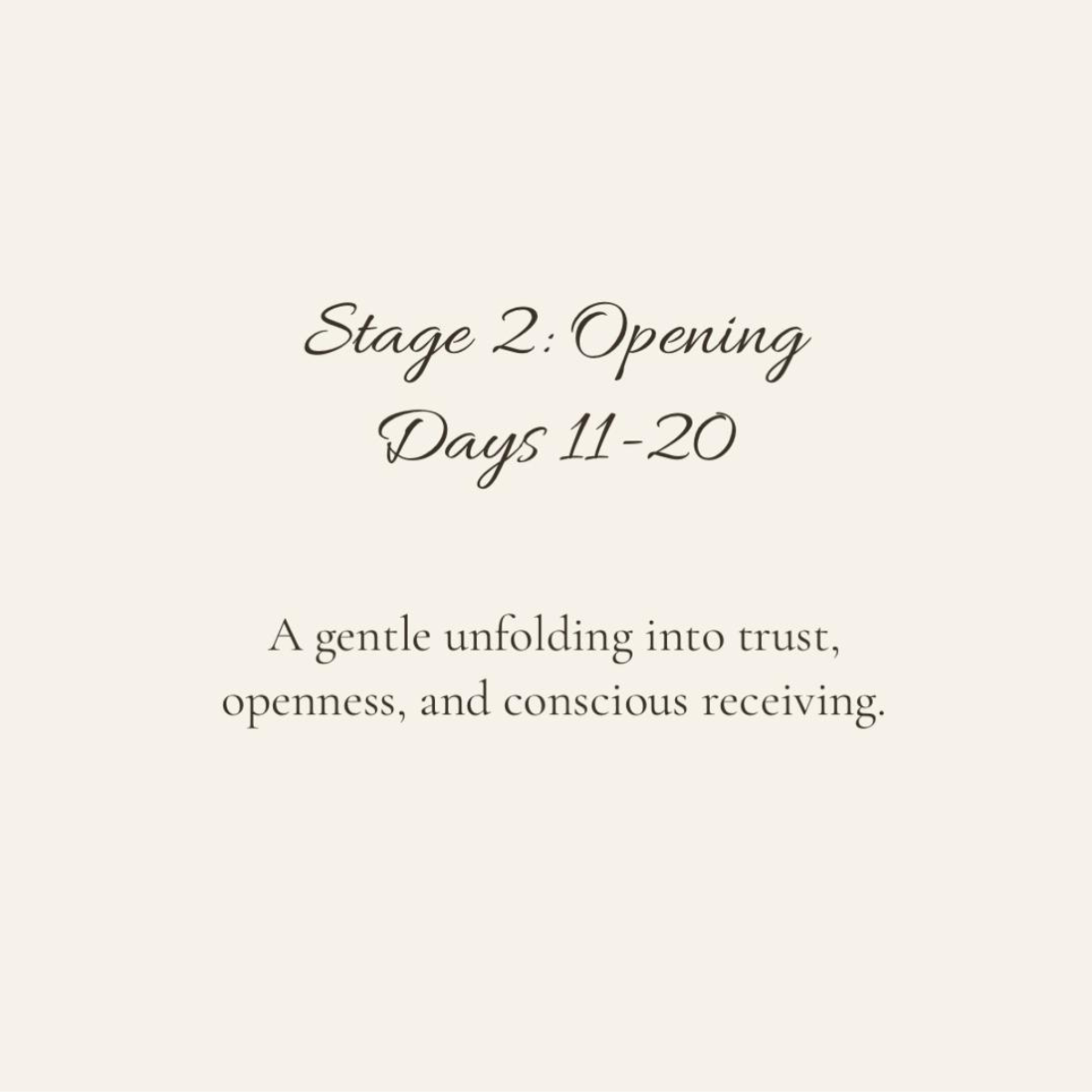 Pages of the Soul – Volume I | Digital Guided Journal